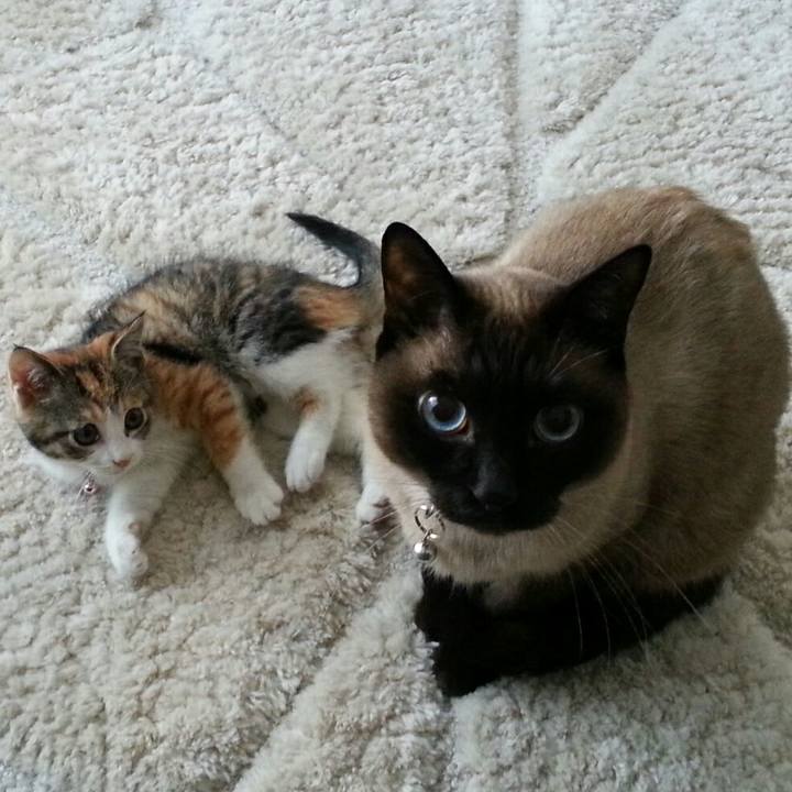 A861a647 d65f 4360 9673 020bcf0c2377