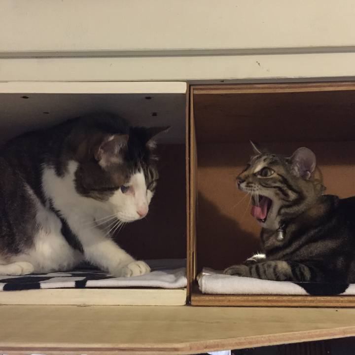 A861bc39 a9f8 4f1c a3cb 676a88beb76c