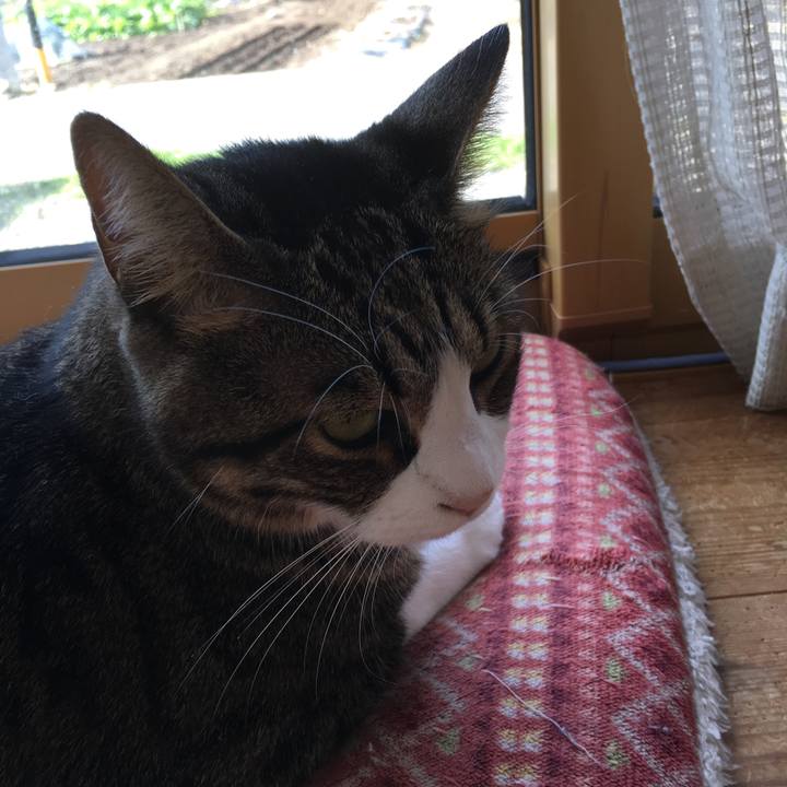 A8624f57 41e2 4497 9bb6 09c2d89bd703