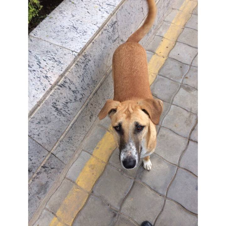 A862aad2 cc42 418a bdb1 1fcfb8835771