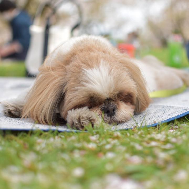 A863b1b1 155a 40ac ade7 93357f77dce9