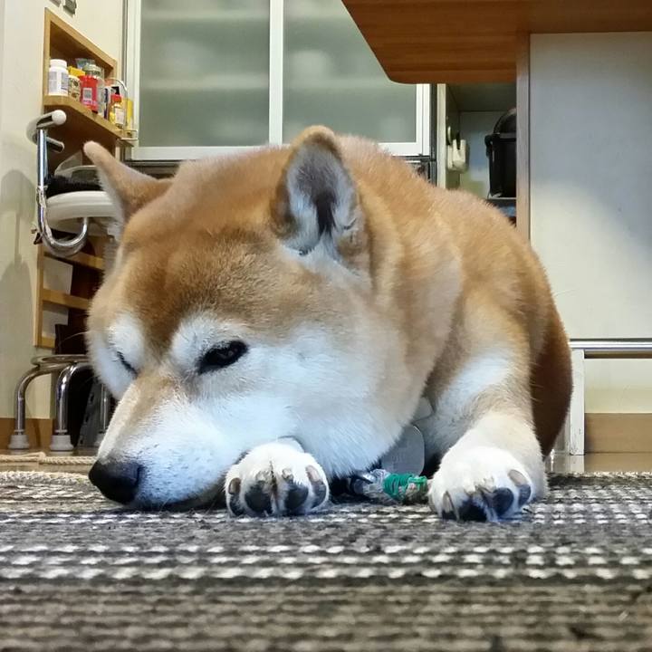 A863f918 3bb8 4db4 9128 b3e1ad943a8d