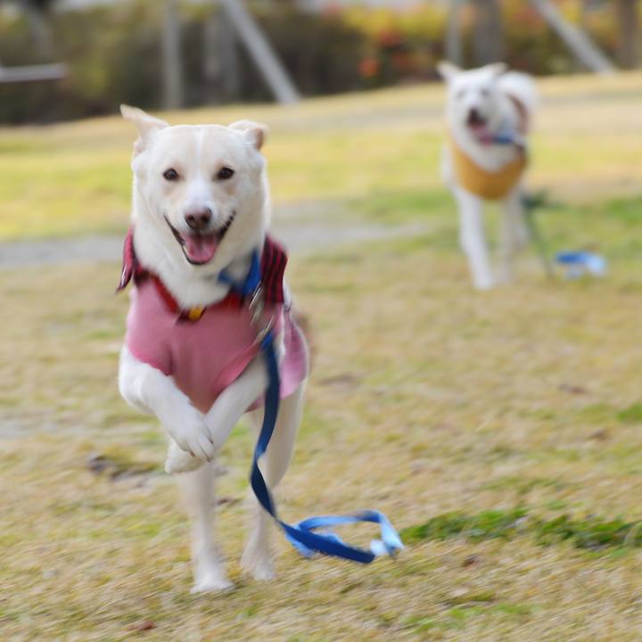 A864b223 493e 4bf8 b109 138d172685dc