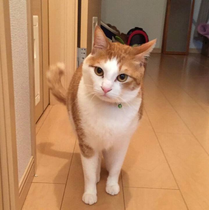 A86595d2 f225 4b9a 91a3 396181670274