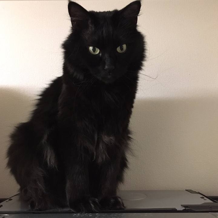 A866a2e0 1e81 4e0d b559 f90b05f3d4e5