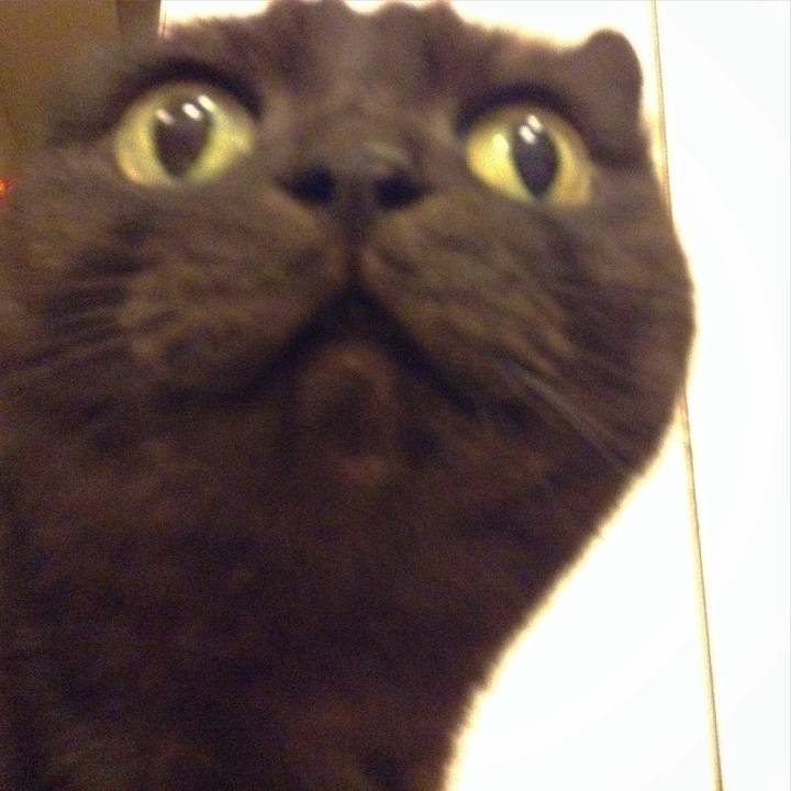 A866d388 6b5d 436d 9778 6d43f78a6334