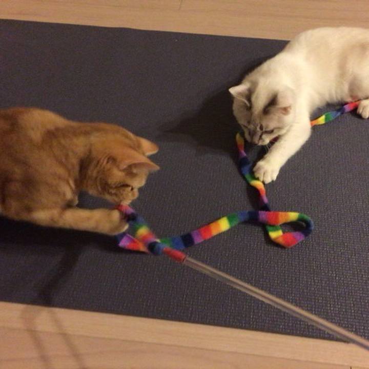 A8672219 1067 4717 877b bc071b6758ee