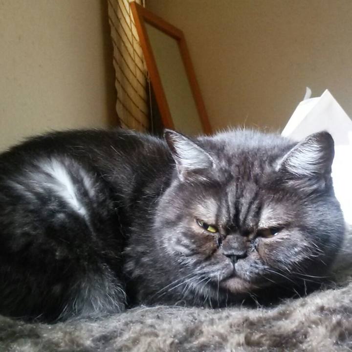 A8673832 e95e 4d1c b817 151968be023a