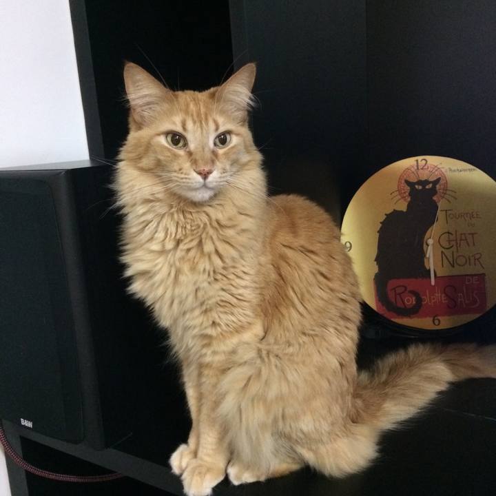 A867a8a4 f9a0 43a0 a2d2 c51d8f899fae