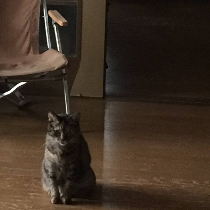 A8685a36 46a2 4617 8401 c984023d2175