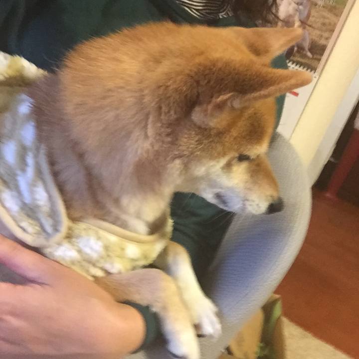 A869062e 50b1 4d4b 8d48 00e4993efa4b