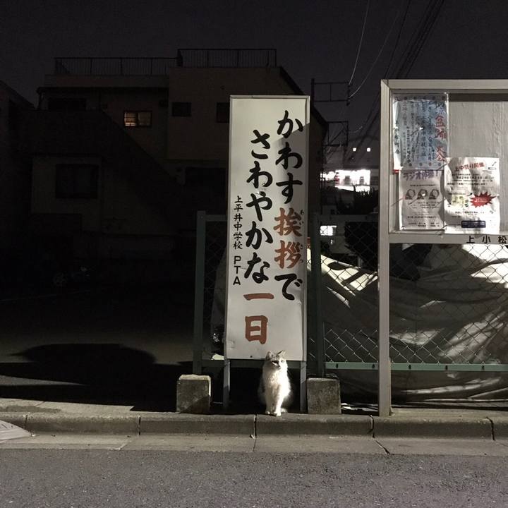 A86977a2 72ad 44fa 85d9 299a77aabd24