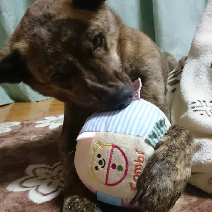 A86a14cb 2170 4d90 a542 7ab507b8ebe4