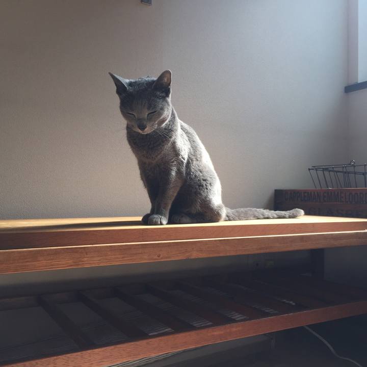 A86a4a07 7112 46bd 9fbb e4b06357d935