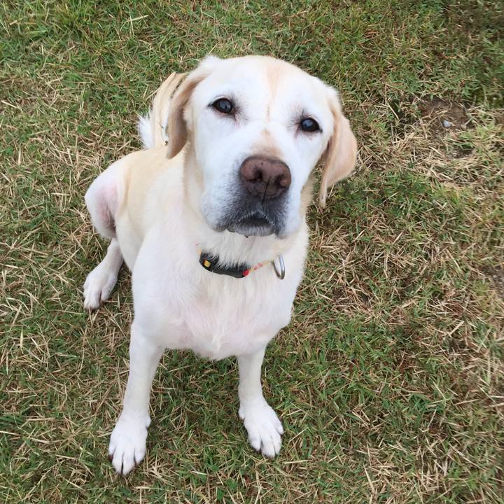 A86a7f64 c603 46fd 93d7 60918e50d3f5