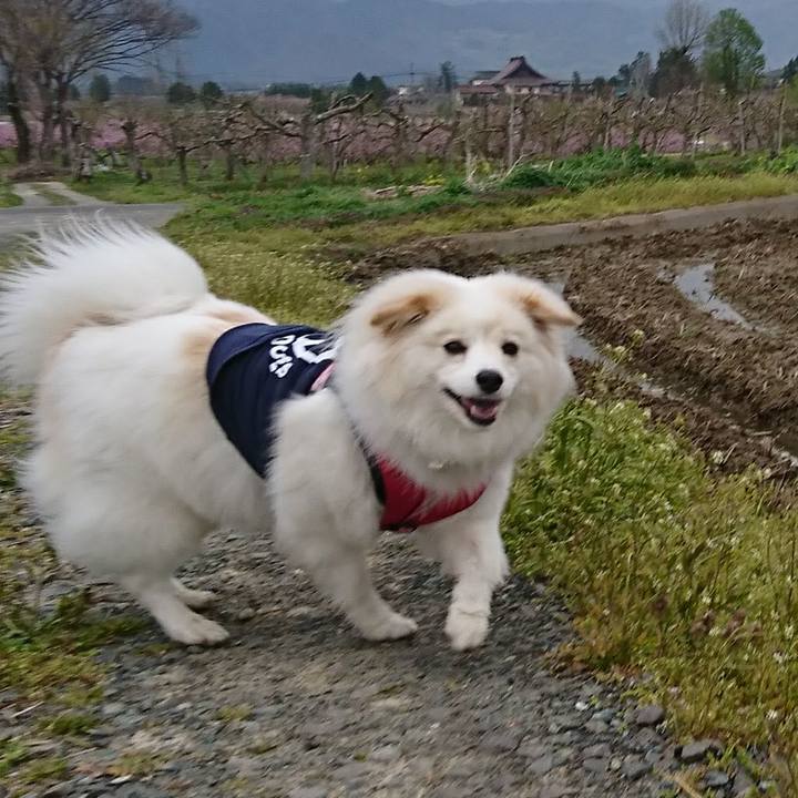 A86aa320 6e1b 461d b57c c5eeb68a5d58