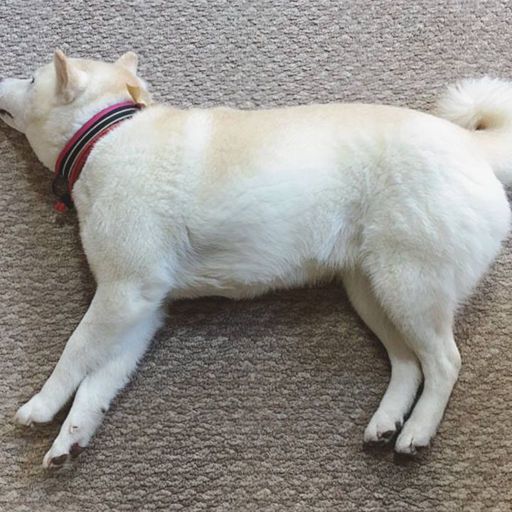 A86bf9f2 0128 46e5 ab28 5b8e26070cd2