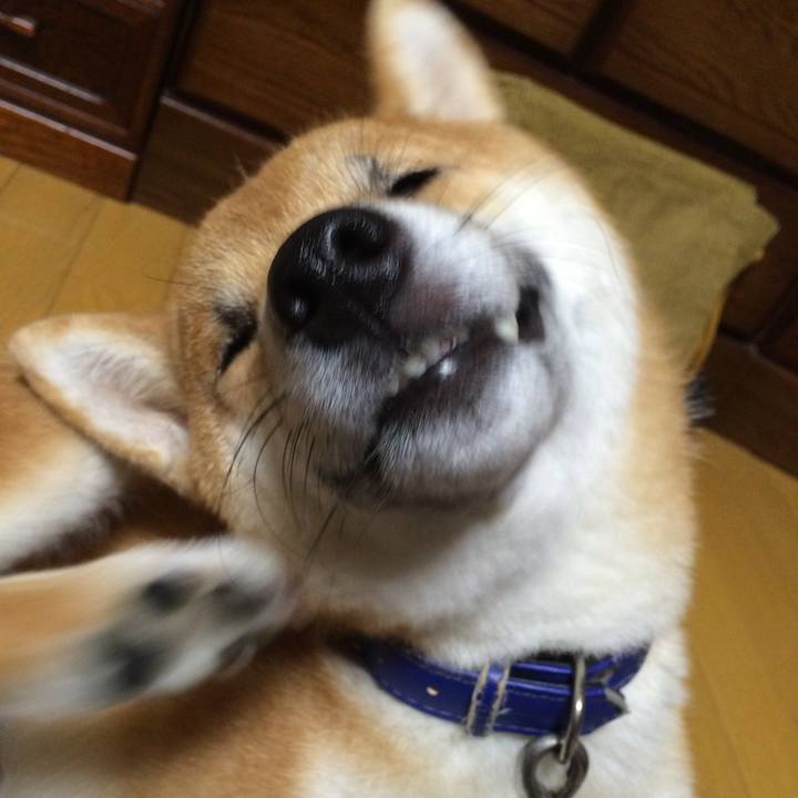 A86cb614 6974 42c9 b3d9 480c194e80ec