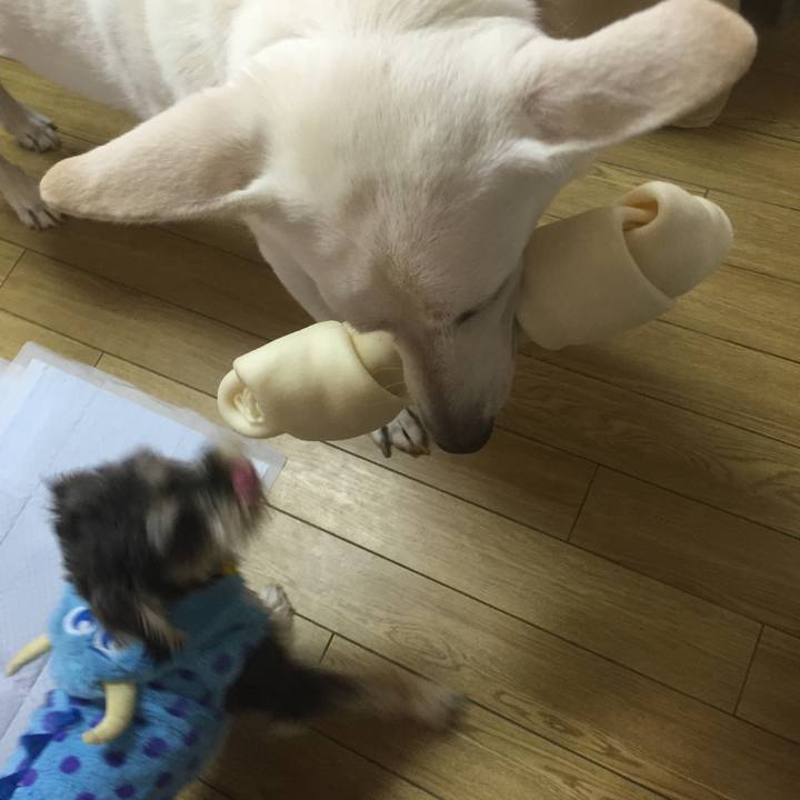 A86cbd83 0957 4736 b49d cd1833e91fac