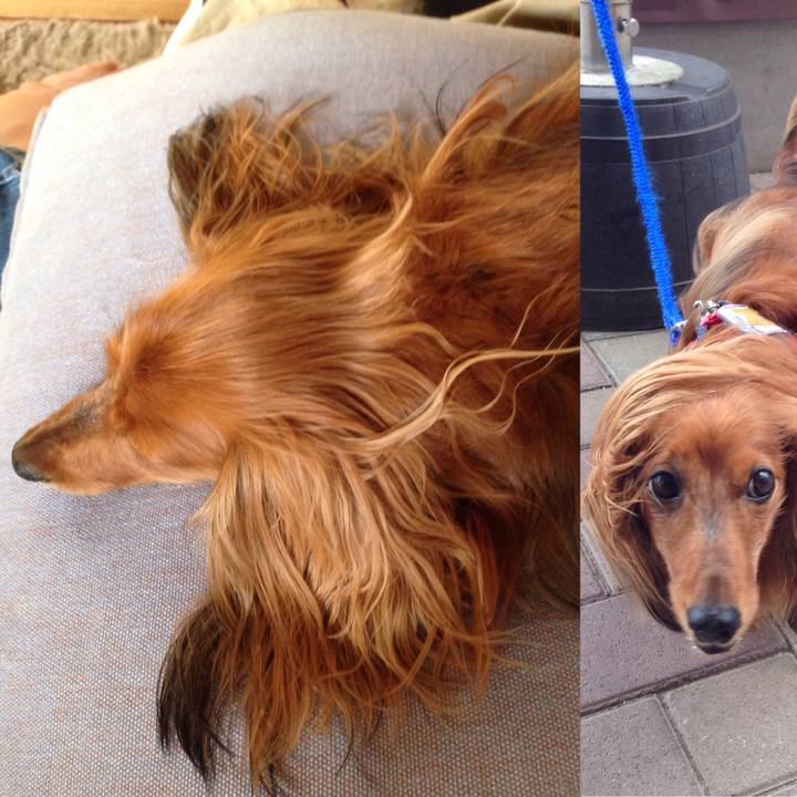 A86cf528 807f 47ef b0a6 1d24a66b8548