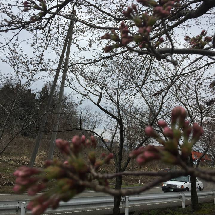 A86ddc41 a893 4753 8687 8bc3b87051d5