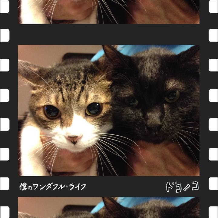 A86e5451 7305 4429 a3de 40a00038dd03