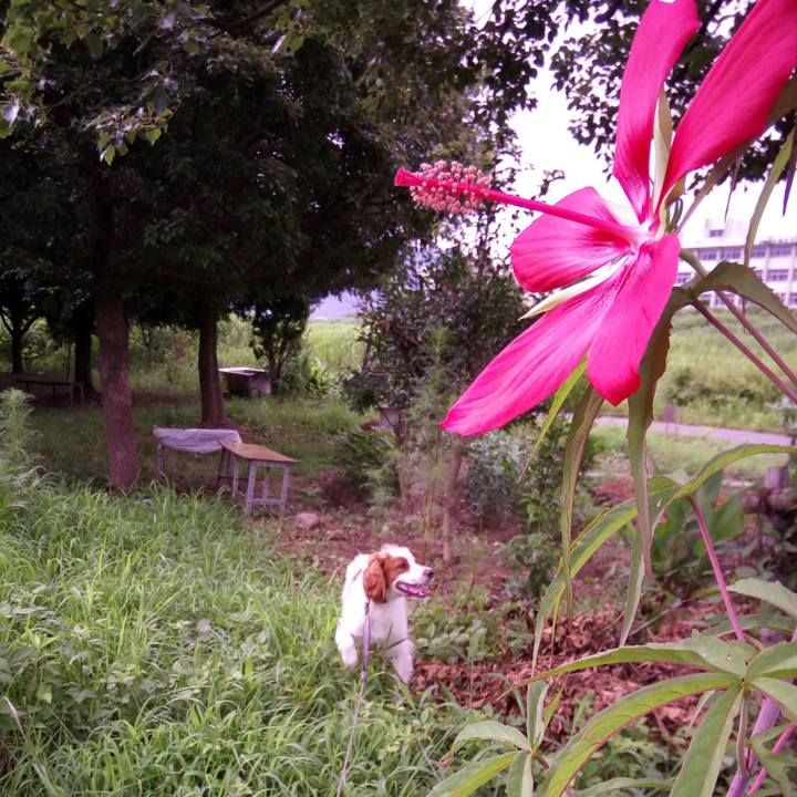 A86e9c26 c8db 4d95 8250 a62016259e54