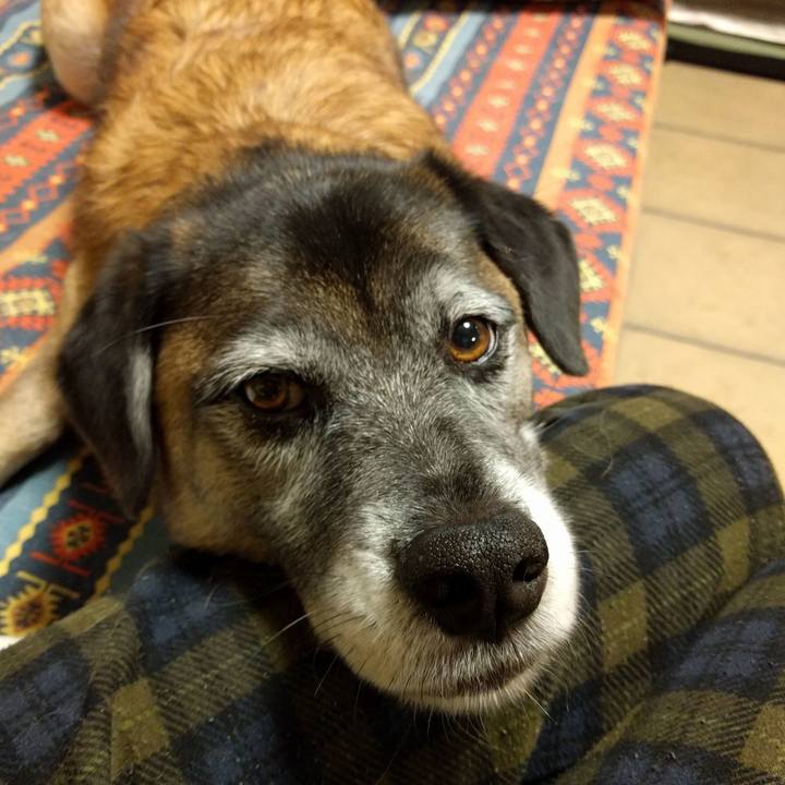 A86eca86 a0c9 48b9 bc39 9039fc37dcaf