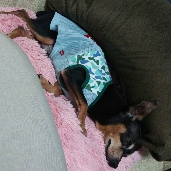 A86f53a0 bc3e 4bf5 9cdf 8f4f262de4d0