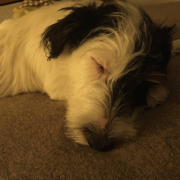 A86f9360 f634 44f2 8192 7dbd8d8ff793