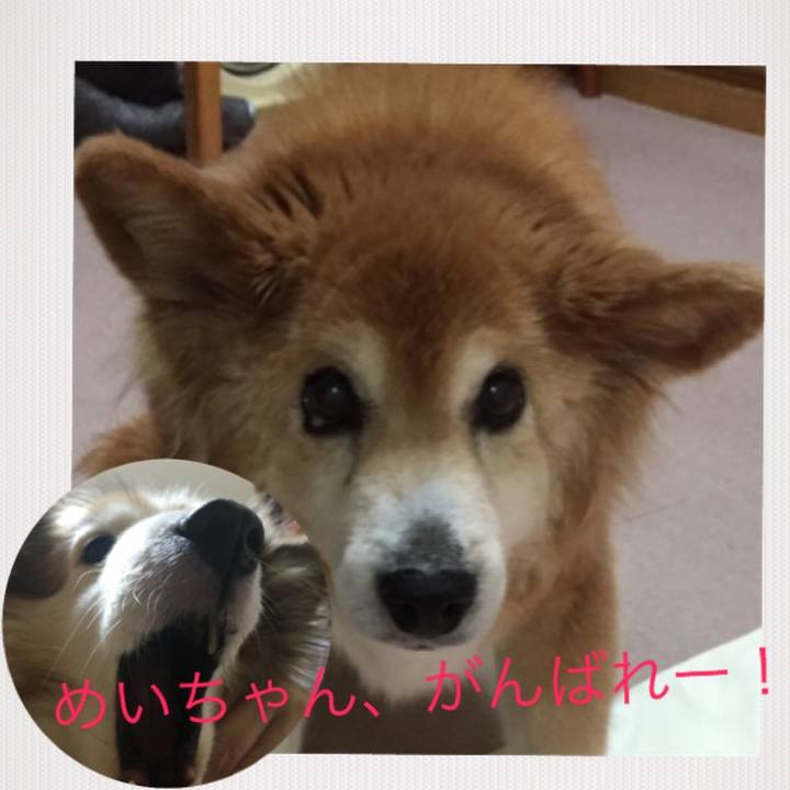 A86fe23f bc3e 4001 9707 5f4e4415a653
