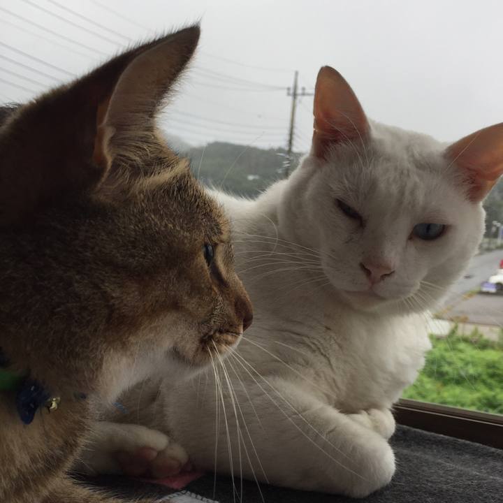 A870ba69 1527 4869 b1d6 9f074fcf4dbe