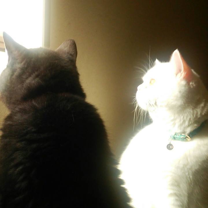 A870bf3b 19fd 44dc 84f9 a2ec0e530f34