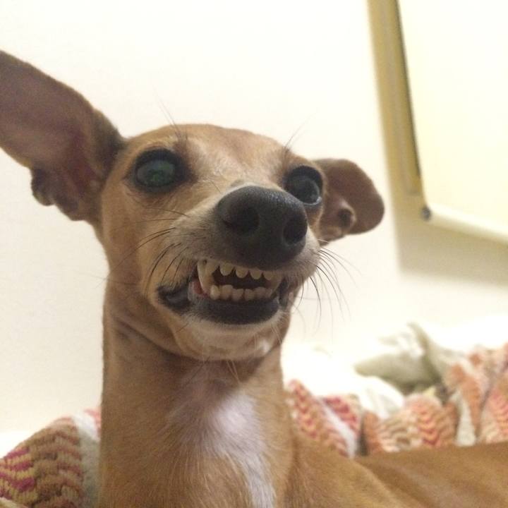 A8714a55 a641 4b05 aabe 1562e219bafc