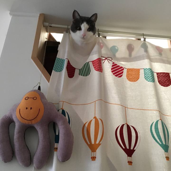 A8716db5 4812 49b9 8155 8f38572322b0