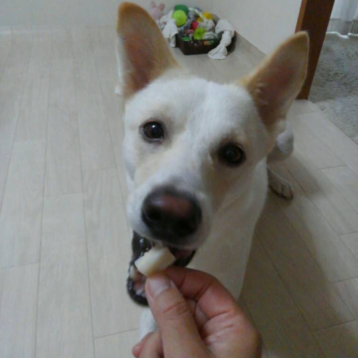 A8717d7d 421a 4059 a582 fc2a8049b204