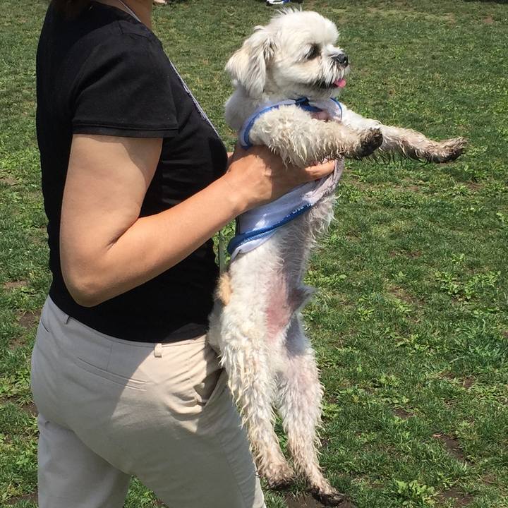 A871d132 5b0b 4fd0 a24d 1cbaf8d196b5