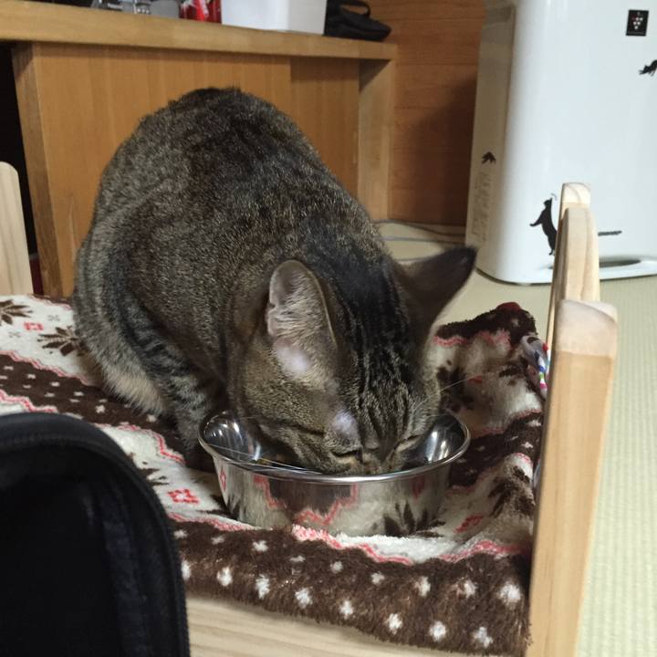 A8729e85 375b 47b5 9e7d 6e49be2ca5f4