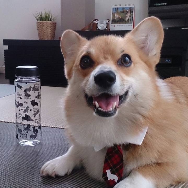 A872a482 a66f 4d78 8cc9 4741f200de8b