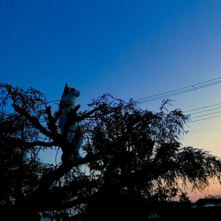 A872d387 a1f3 4773 ab14 7a3220df496f