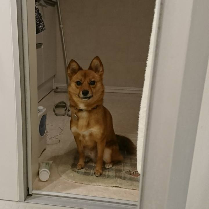 A8746c61 884f 463c 8663 004e1a7bd567