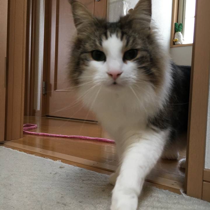 A874e105 694d 4046 8b01 1d085fd44d41