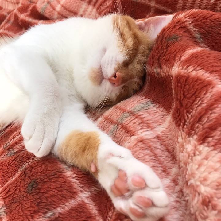 A8754033 1094 4998 bd78 0497fca402dc