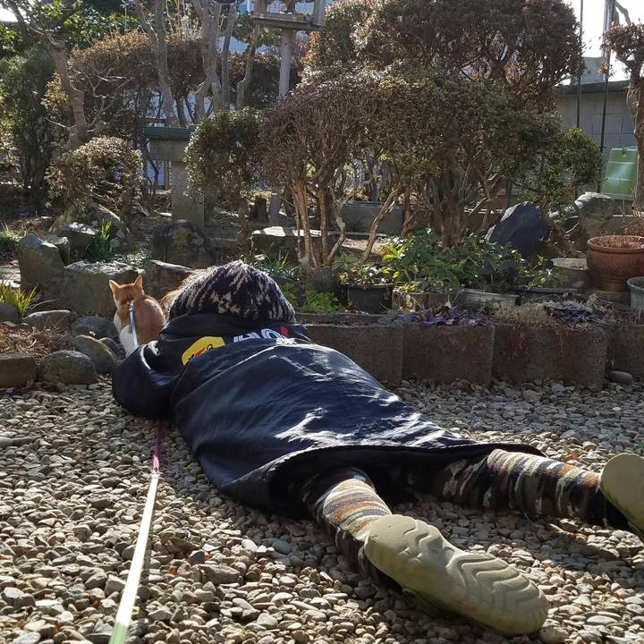 A8754293 a32f 4aa5 bc87 03edcdbd8dd4