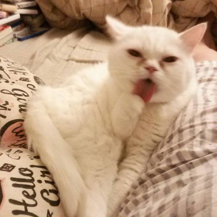 A87588d6 301e 416f 895a 84ec26b2ca99