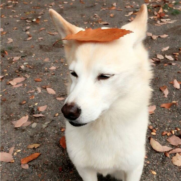 A87596bc 0709 4426 9a8c 7f1684bb23c0