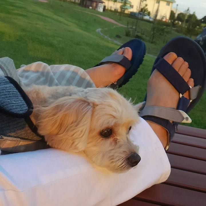 A875b5fc b1fa 4255 bd98 3a1ede0ec2c7