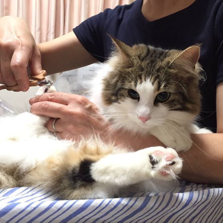 A875b6cc a9e3 46f7 91bd 588e85484802