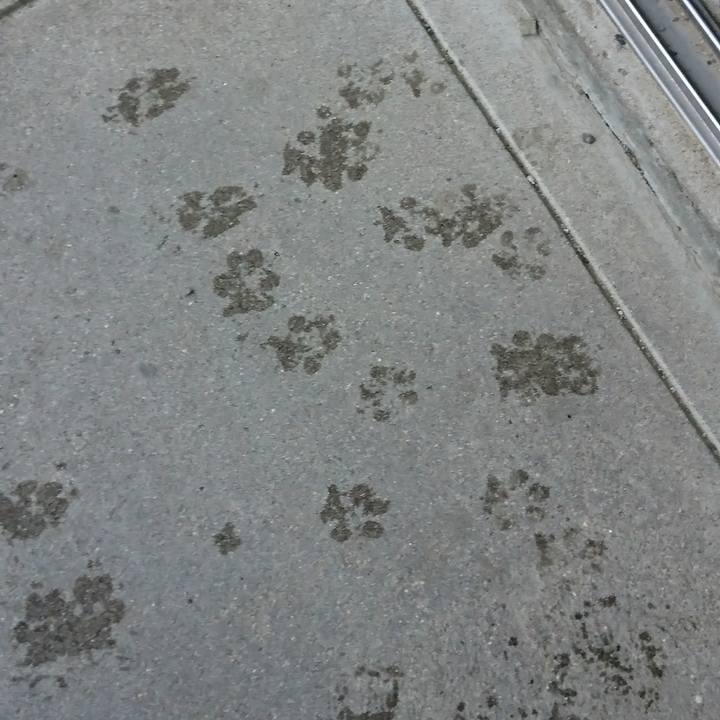 A8766c42 188c 4601 a549 bc07ae0b7684