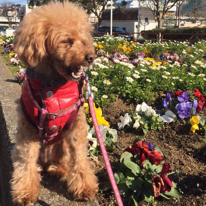 A8769aec 556f 4a05 bff8 ef1ab16957cd